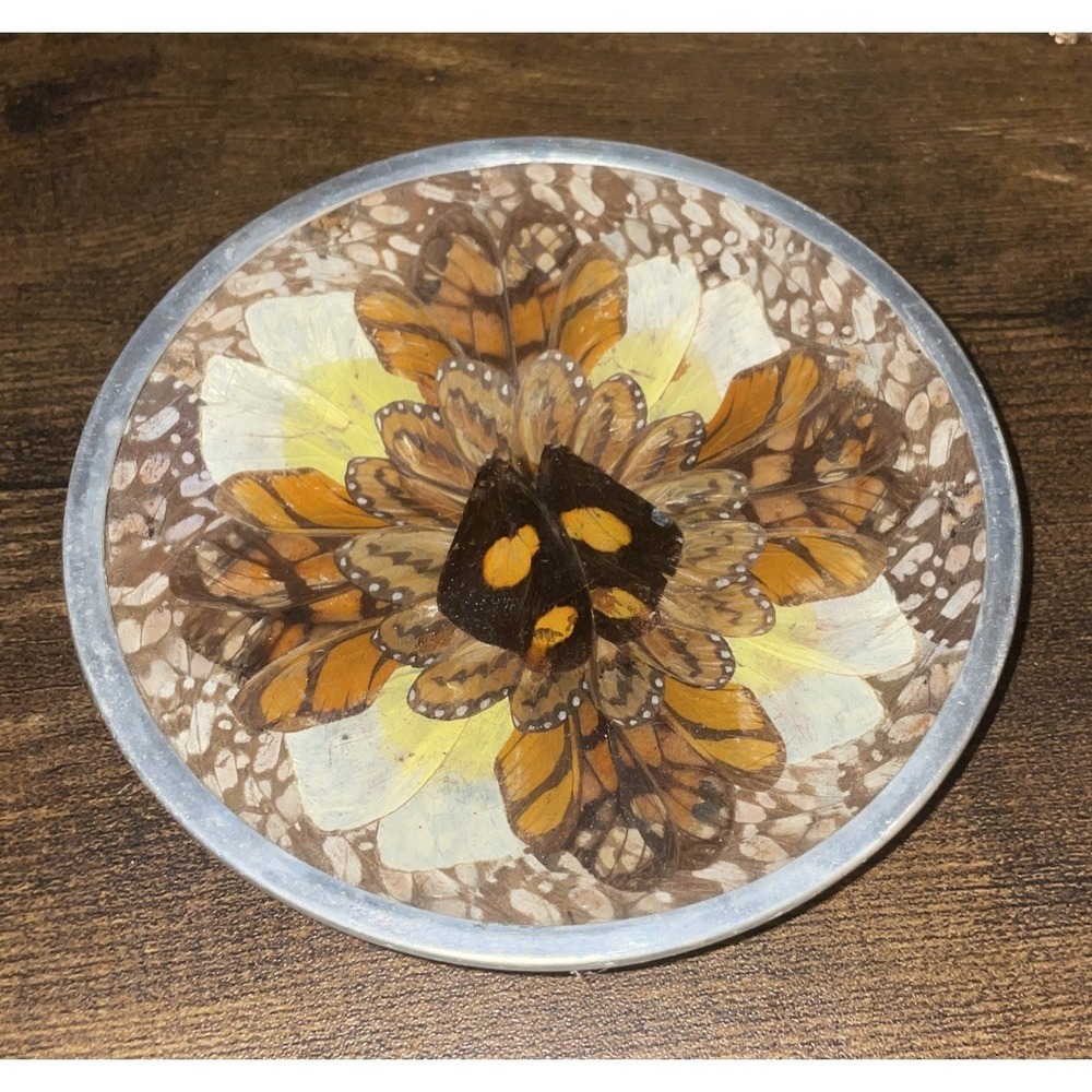 Vintage Butterfly Wing Art Trinket Dish Made In Brazil Wall Art Brown Orange - Picture 2 of 9